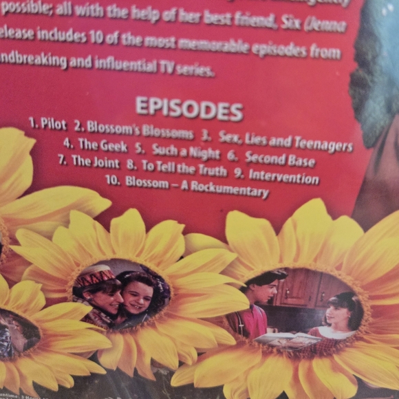 Blossom TV Series DVD 📀 • 10 Episodes - Picture 3 of 7